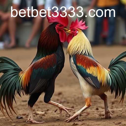 bet3333 PH Login